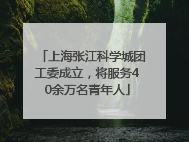 上海张江科学城团工委成立，将服务40余万名青年人