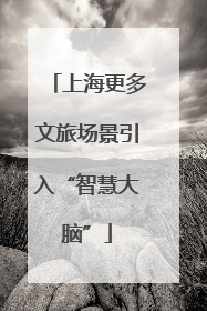 上海更多文旅场景引入“智慧大脑”