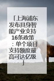 上海浦东发布具身智能产业支持16条政策：单个项目支持额度最高可达亿级
