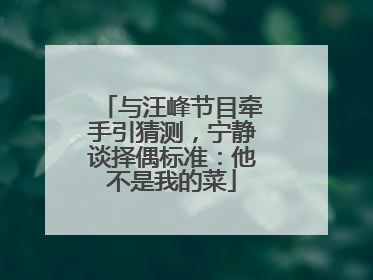 与汪峰节目牵手引猜测，宁静谈择偶标准：他不是我的菜