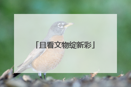 且看文物绽新彩