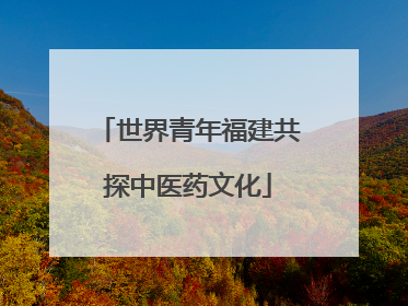 世界青年福建共探中医药文化