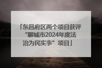 东昌府区两个项目获评“聊城市2024年度法治为民实事”项目