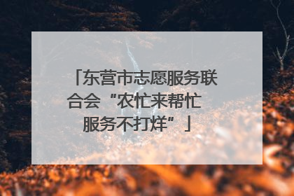 东营市志愿服务联合会“农忙来帮忙 服务不打烊”