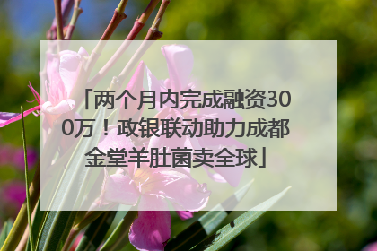两个月内完成融资300万！政银联动助力成都金堂羊肚菌卖全球