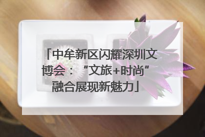 中牟新区闪耀深圳文博会：“文旅+时尚”融合展现新魅力