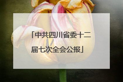 中共四川省委十二届七次全会公报