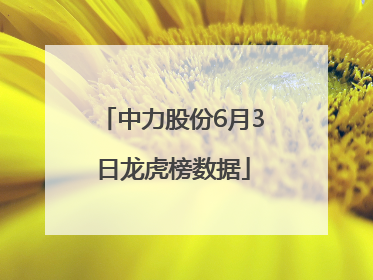 中力股份6月3日龙虎榜数据