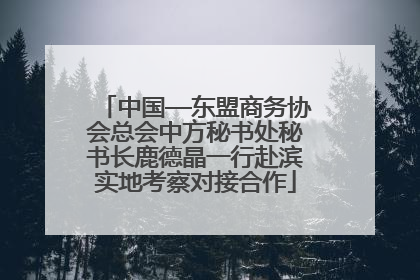 中国—东盟商务协会总会中方秘书处秘书长鹿德晶一行赴滨实地考察对接合作