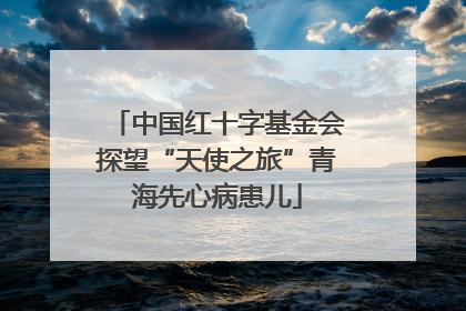 中国红十字基金会探望“天使之旅”青海先心病患儿