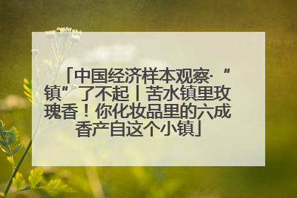 中国经济样本观察·“镇”了不起丨苦水镇里玫瑰香！你化妆品里的六成香产自这个小镇