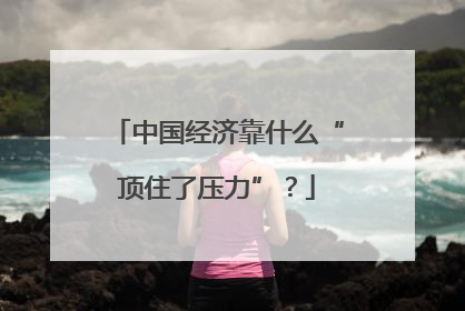 中国经济靠什么“顶住了压力”？