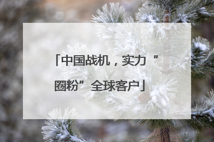 中国战机，实力“圈粉”全球客户