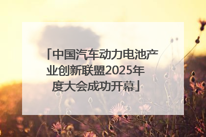 中国汽车动力电池产业创新联盟2025年度大会成功开幕