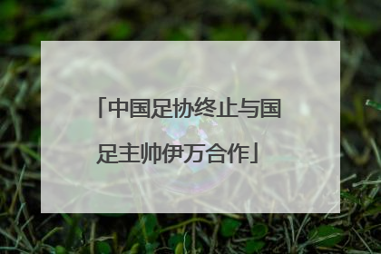 中国足协终止与国足主帅伊万合作