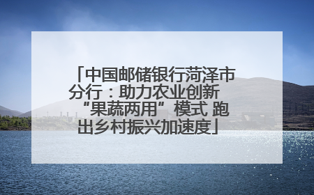 中国邮储银行菏泽市分行：助力农业创新 “果蔬两用”模式 跑出乡村振兴加速度