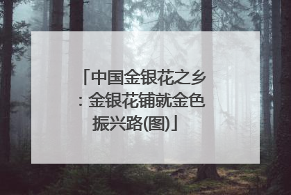 中国金银花之乡：金银花铺就金色振兴路(图)