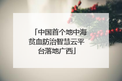 中国首个地中海贫血防治智慧云平台落地广西