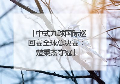 中式九球国际巡回赛全球总决赛：楚秉杰夺冠