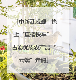 中新武威观｜搭上“直播快车” 古浪优质农产品“云端”走俏