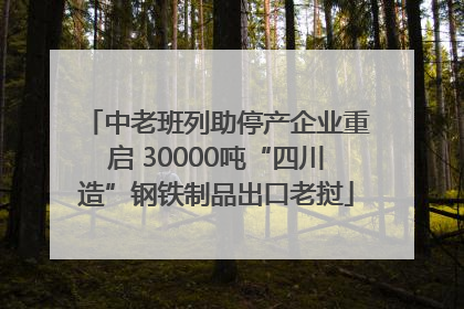 中老班列助停产企业重启 30000吨“四川造”钢铁制品出口老挝