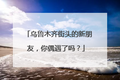 乌鲁木齐街头的新朋友，你偶遇了吗？