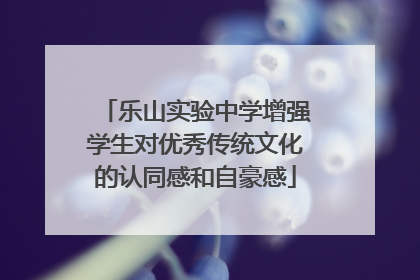 乐山实验中学增强学生对优秀传统文化的认同感和自豪感