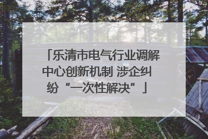 乐清市电气行业调解中心创新机制 涉企纠纷“一次性解决”