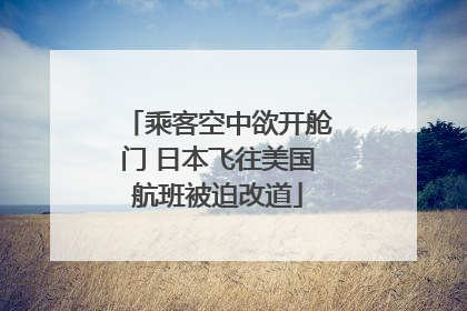 乘客空中欲开舱门 日本飞往美国航班被迫改道