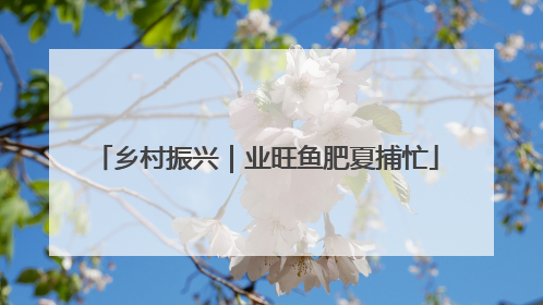 乡村振兴｜业旺鱼肥夏捕忙