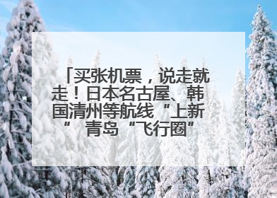 买张机票，说走就走！日本名古屋、韩国清州等航线“上新” 青岛“飞行圈”不断扩大