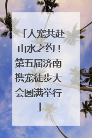 人宠共赴山水之约！第五届济南携宠徒步大会圆满举行