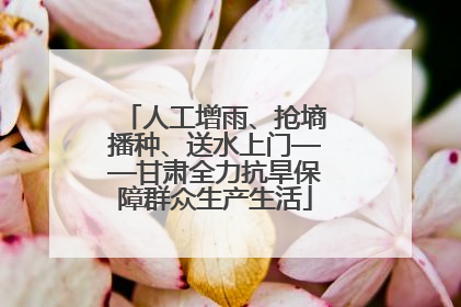 人工增雨、抢墒播种、送水上门——甘肃全力抗旱保障群众生产生活