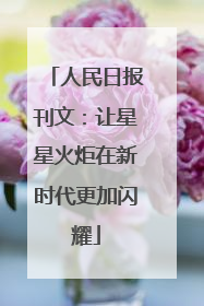 人民日报刊文：让星星火炬在新时代更加闪耀