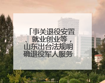 事关退役安置、就业创业等，山东出台法规明确退役军人服务保障工作