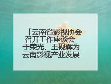 云南省影视协会召开工作座谈会 于荣光、王砚辉为云南影视产业发展出谋划策