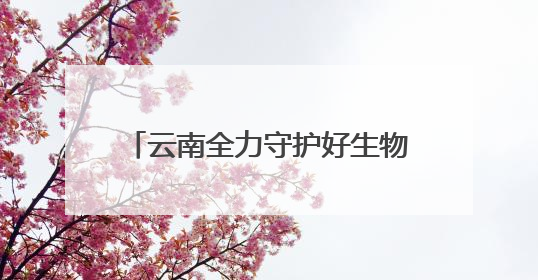 云南全力守护好生物多样性宝库，筑牢国家西南生态安全屏障