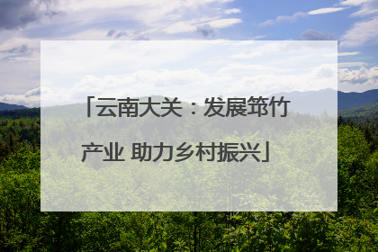 云南大关：发展筇竹产业 助力乡村振兴