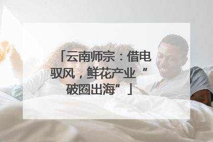 云南师宗：借电驭风，鲜花产业“破圈出海”