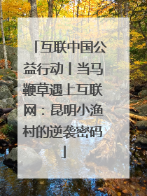 互联中国公益行动丨当马鞭草遇上互联网：昆明小渔村的逆袭密码
