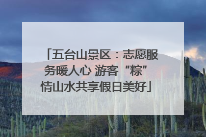 五台山景区：志愿服务暖人心 游客“粽”情山水共享假日美好