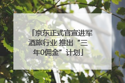 京东正式官宣进军酒旅行业 推出“三年0佣金”计划