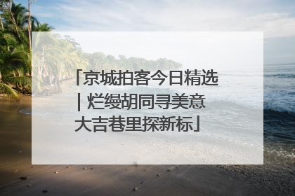 京城拍客今日精选｜烂缦胡同寻美意 大吉巷里探新标
