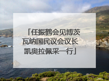 任振鹤会见博茨瓦纳国民议会议长凯奥拉佩采一行