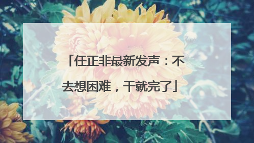 任正非最新发声：不去想困难，干就完了