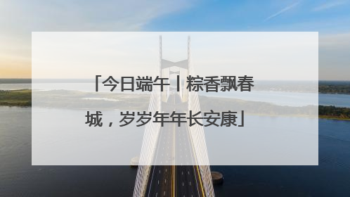 今日端午丨粽香飘春城，岁岁年年长安康
