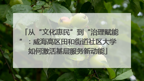 从“文化惠民”到“治理赋能”：威海高区田和街道社区大学如何激活基层服务新动能