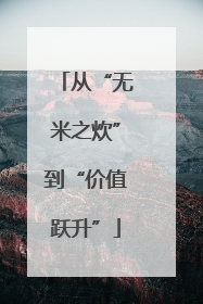 从“无米之炊”到“价值跃升”