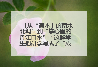 从“课本上的南水北调”到“掌心里的丹江口水”：这群学生把研学写成了“成长笔记”