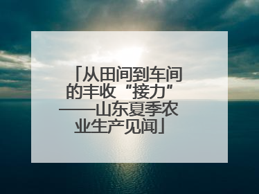 从田间到车间的丰收“接力”——山东夏季农业生产见闻